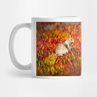 California Ground Squirrel Mug